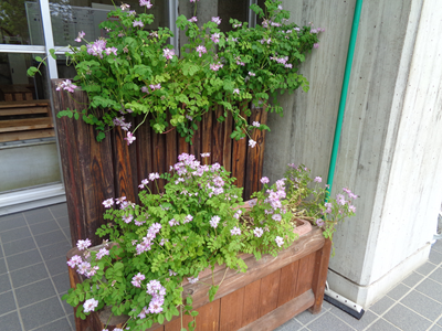 DSC07129.png