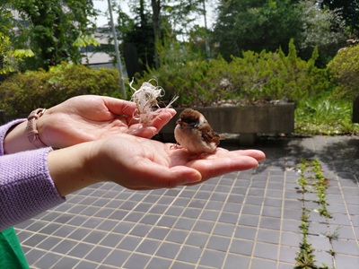 DSC_1483a.jpg