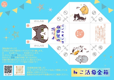 a.ボランティアねこ活.jpg