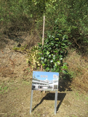 a.IMG_1671.jpg